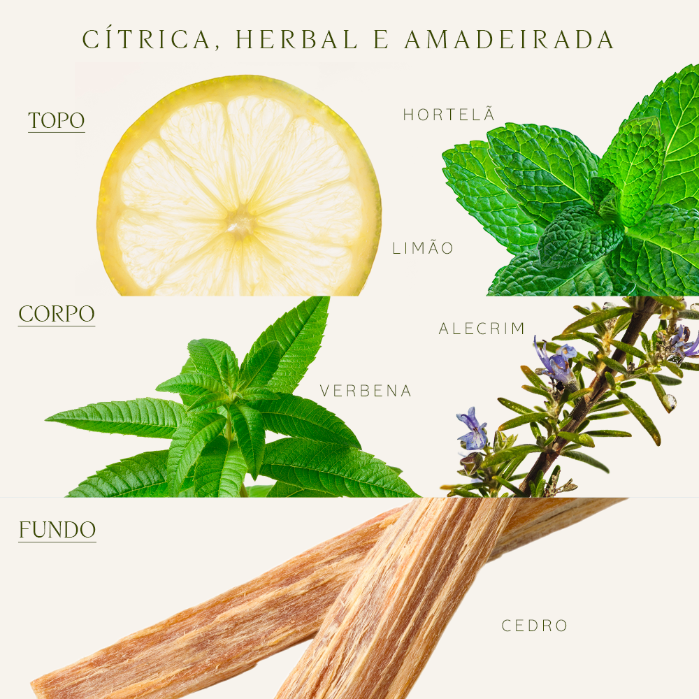 Desodorante Colônia de Verbena Cítrica 50ml | L'Occitane en